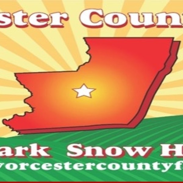 Worcester County Fair Bingo Night