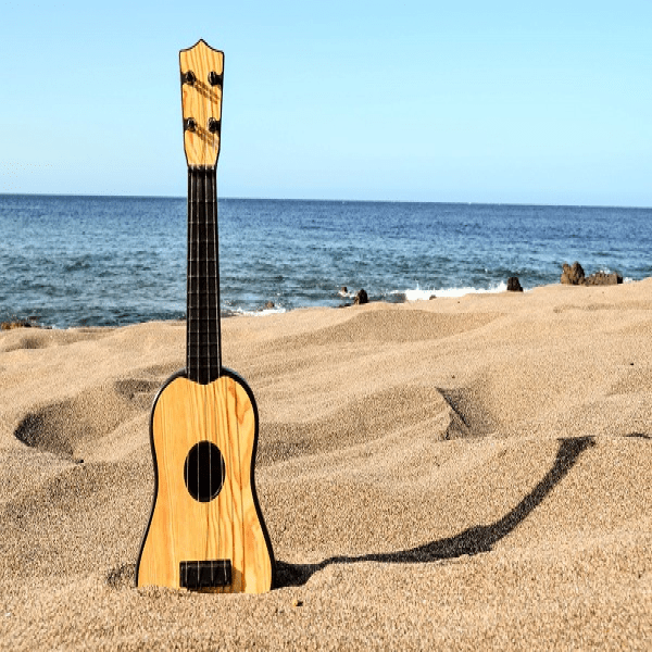 Live Music at Coconuts Beach Bar & Grill