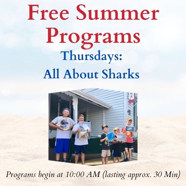 All About Sharks - Free Summer Program at Ocean City Life-Saving Station Museum