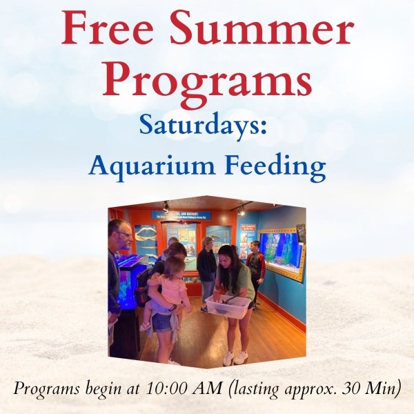 Aquarium Feeding - Free Summer Program at OCLSSM