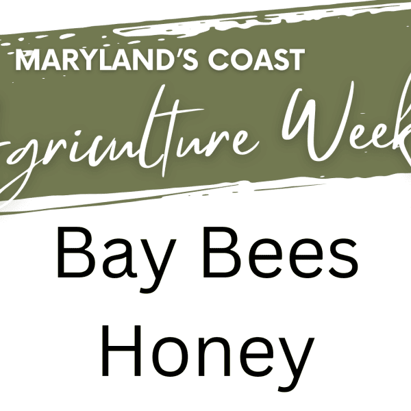 🐝 Maryland’s Coast Agriculture Week: Beekeeping Experience at Bay Bees Honey