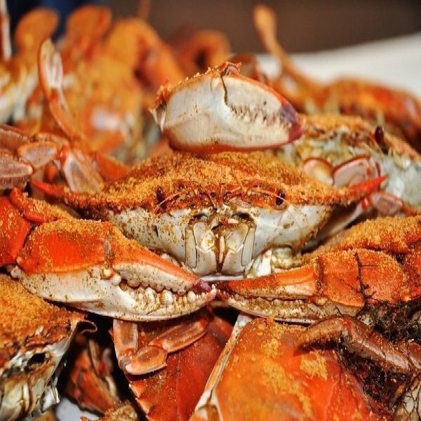 Ocean City Seafood Festival