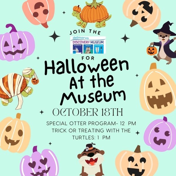 Halloween at the Museum