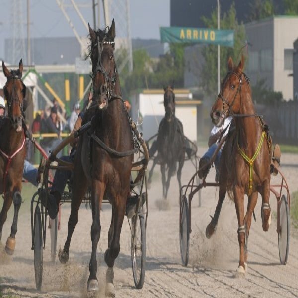 Live Harness Racing at Ocean Downs Casino