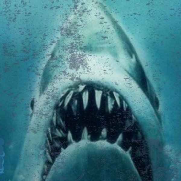 Jaws at Public Landing Beach