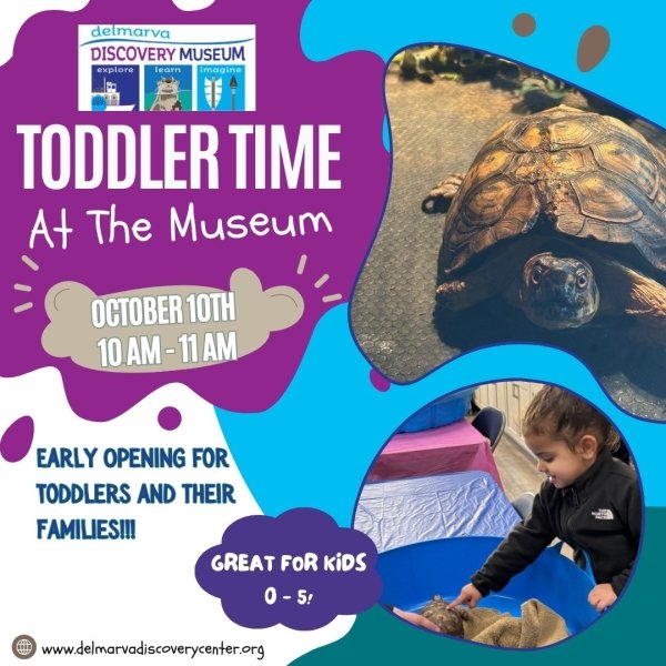 Toddler Time at the Museum