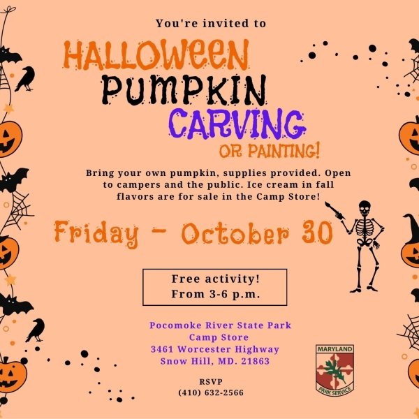 Pumpkin painting and carving event