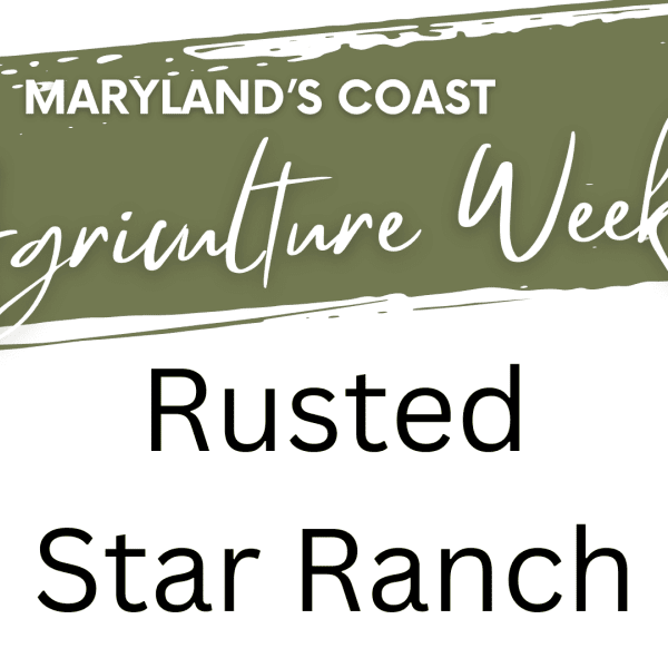 Rusted Star Ranch - Open House