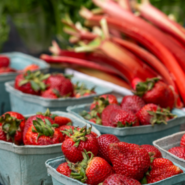 Ocean Pines Farmers and Artisans Market