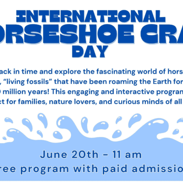 International Horseshoe Crab Day