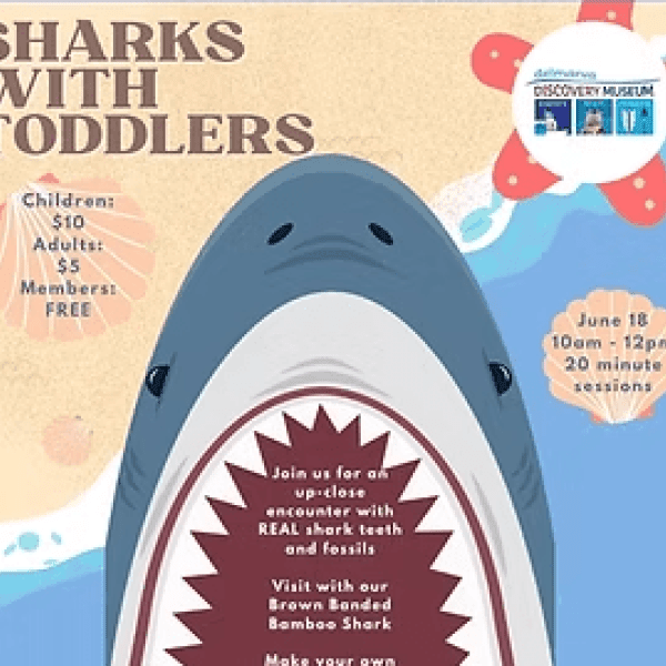 Sharks with Toddlers