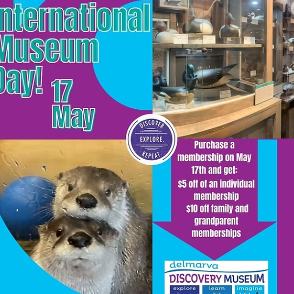 International Museum Day