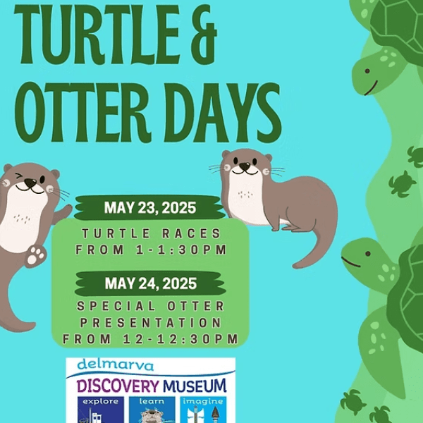 World Otter Day Celebration