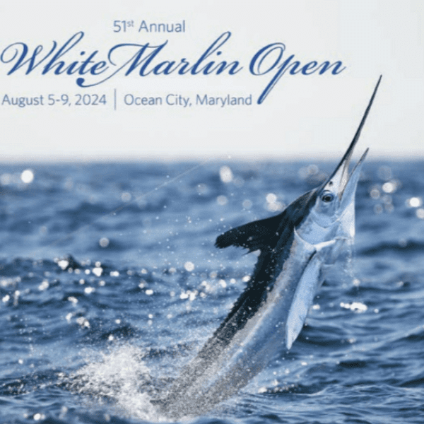 53rd Annual White Marlin Open & MarlinFest 2026