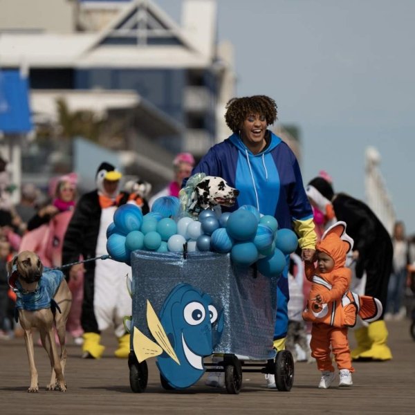 Pets in Disguise: A Sunfest Halloween Pet Celebration