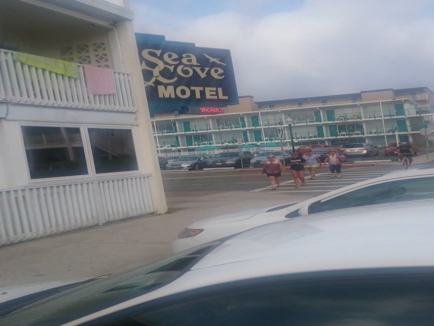 Sea Cove Motel