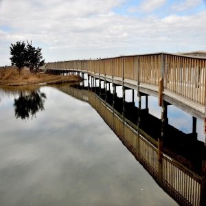 Assateague State Park