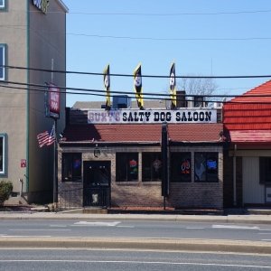 Buxy's Salty Dog Saloon