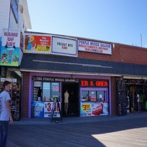 Purple Moose Saloon
