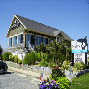 The Shark on the Harbor Restaurant