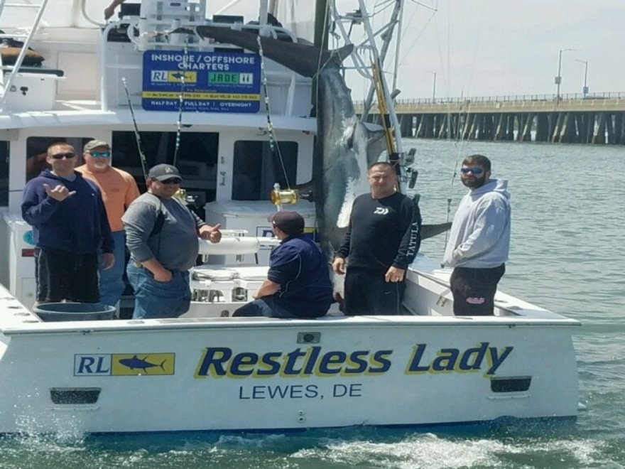 Restless Lady Charters