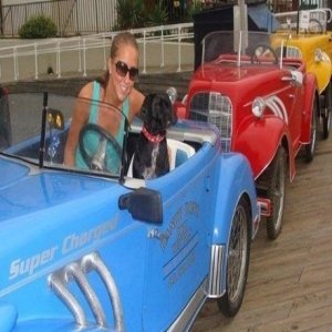 Dandy Don's Bike Rentals & Service