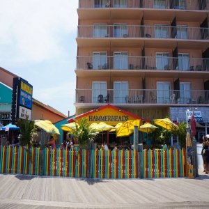 Hammerheads Bar & Grill
