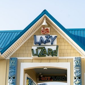 de Lazy Lizard