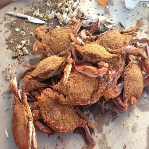 OCM Crabs