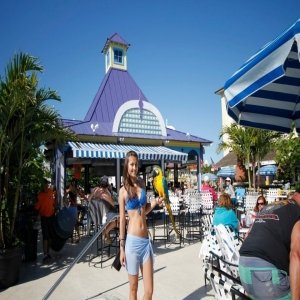 Caribbean Pool Bar