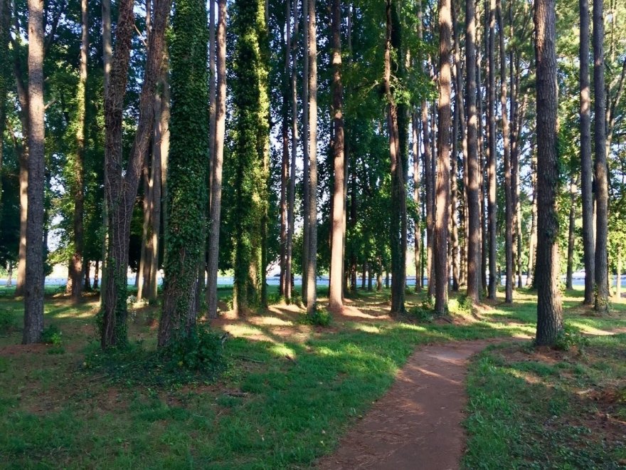 Stephen Decatur Park