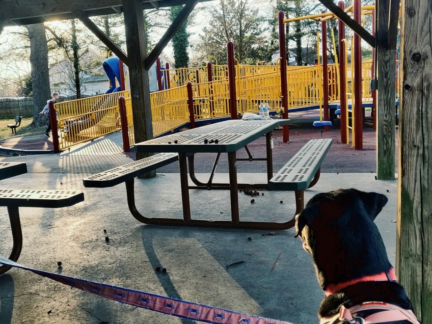Stephen Decatur Park