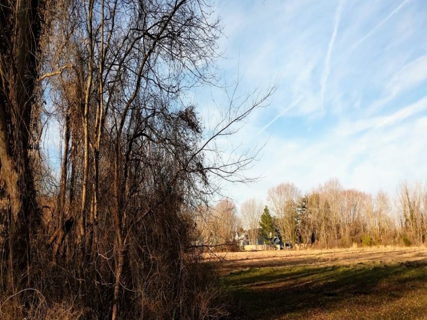 Stephen Decatur Park