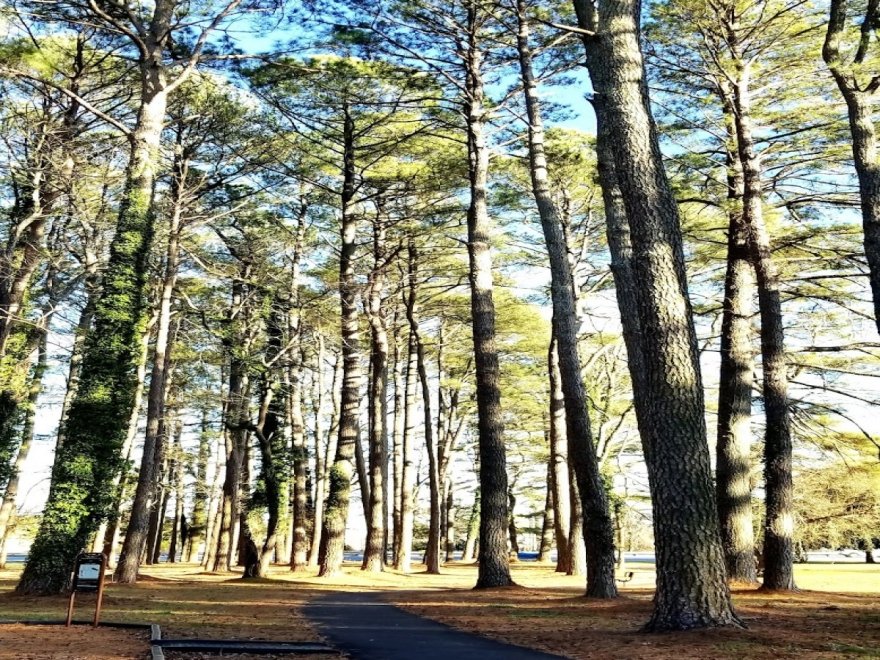 Stephen Decatur Park