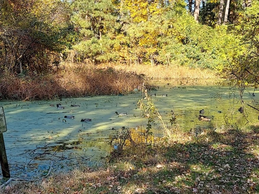 Stephen Decatur Park