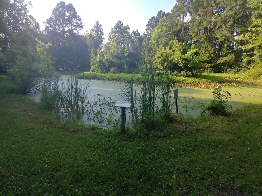 Stephen Decatur Park