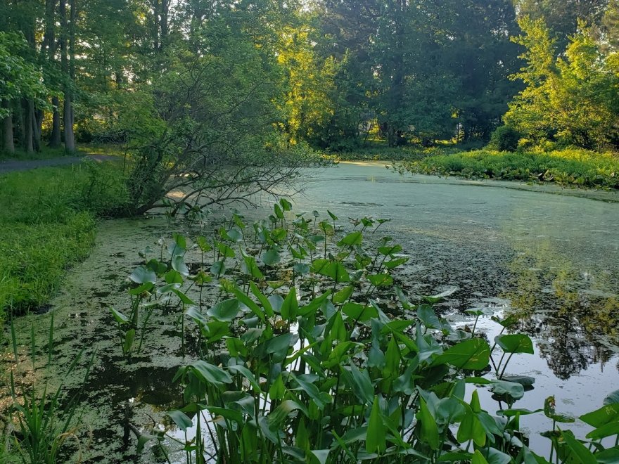 Stephen Decatur Park