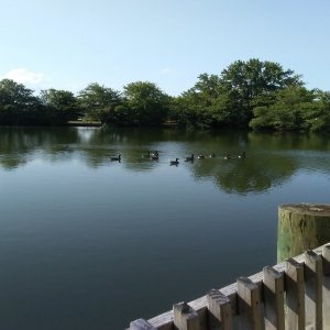 Veterans Memorial Park