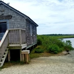 Assateague Island National Seashore - Bayside Drive-in Campground