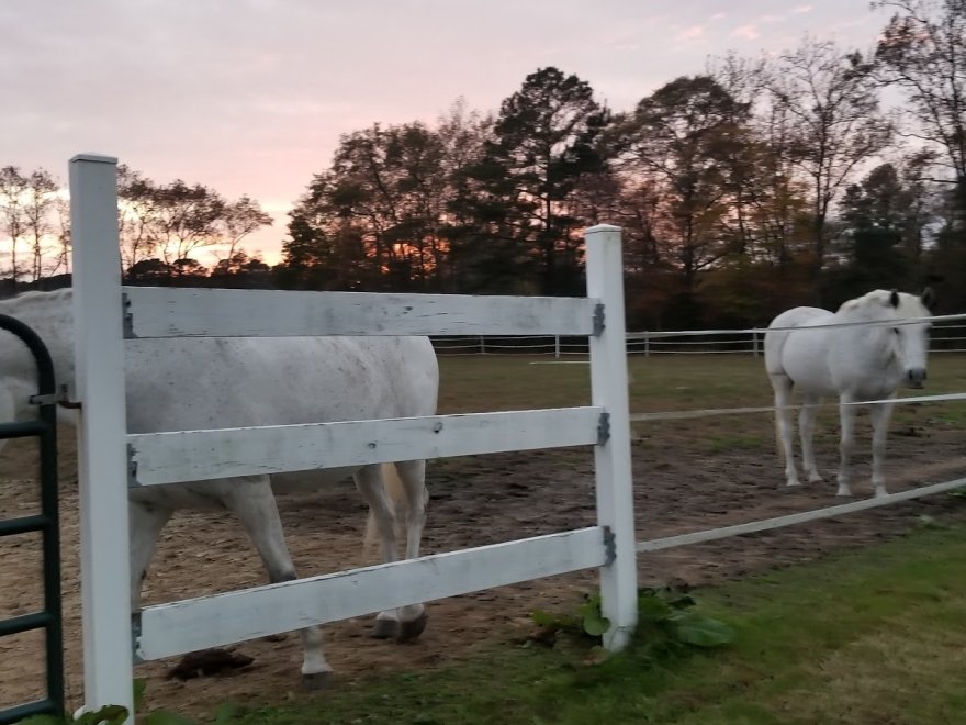 Autumn Grove LLC