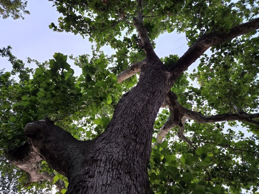 Chesapeake Ghost Tours