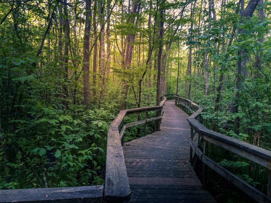 Chesapeake Ghost Tours