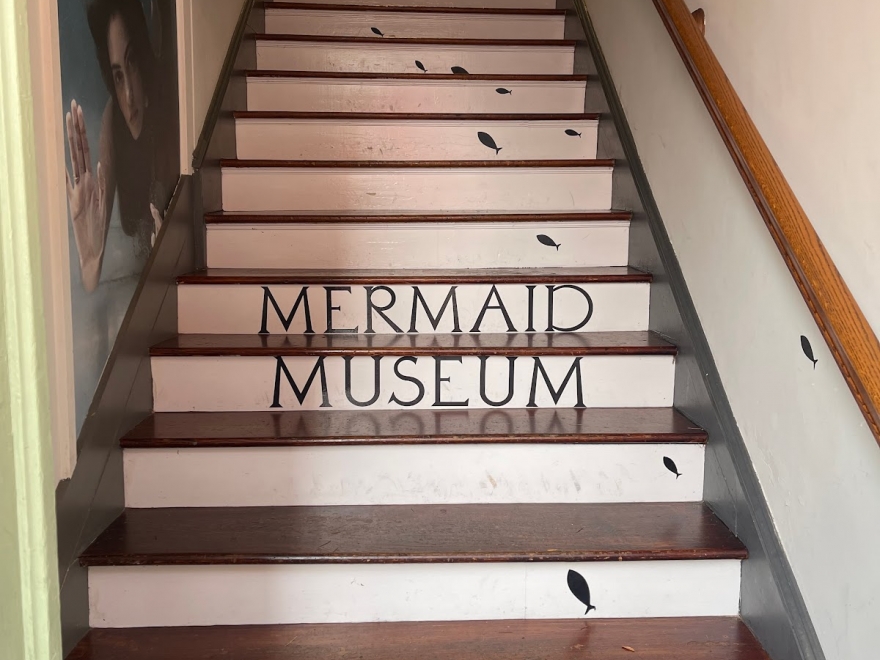 The Mermaid Museum
