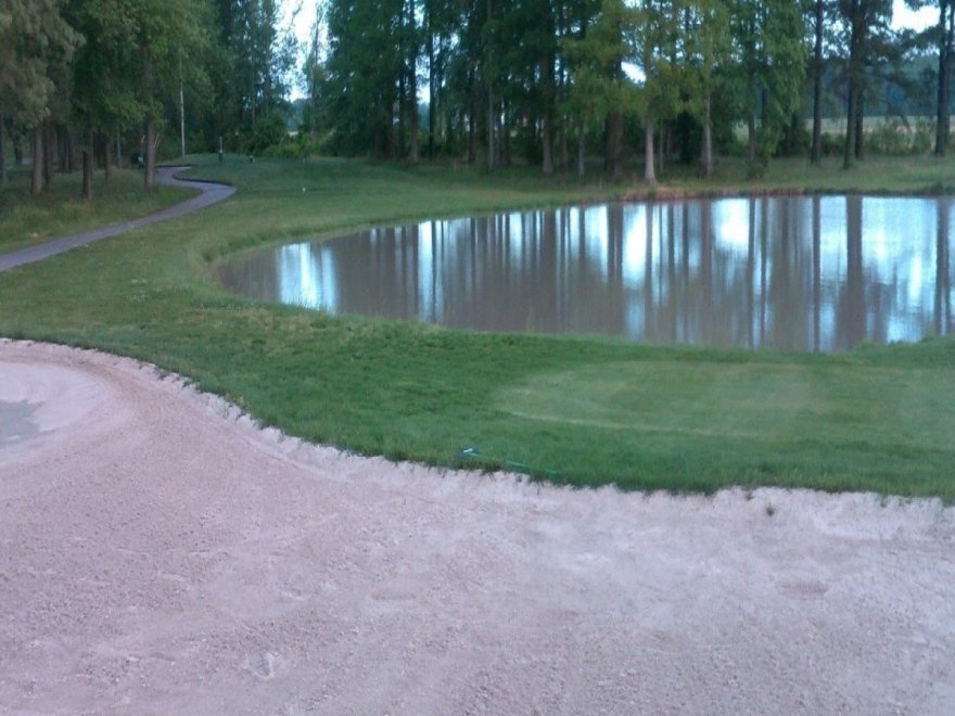 The Bay Club