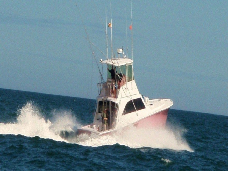 Muff Diver Charters