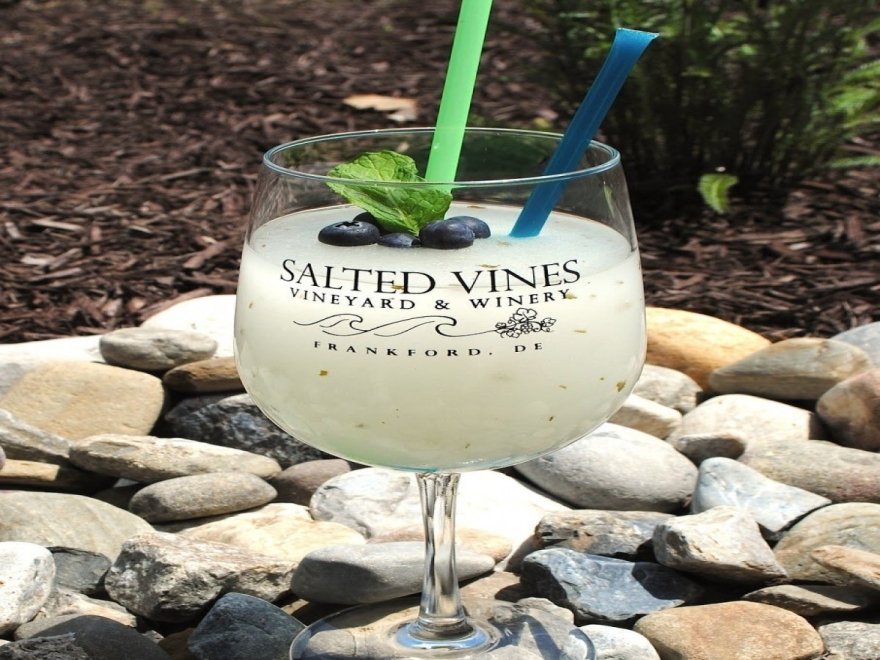 Salted Vines Vineyard & Winery