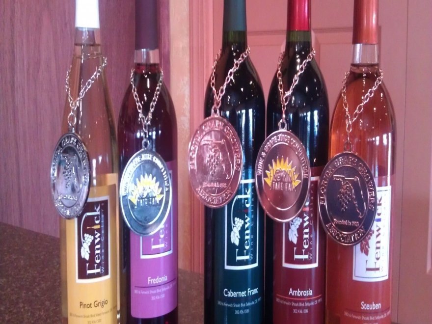 Salted Vines Vineyard & Winery