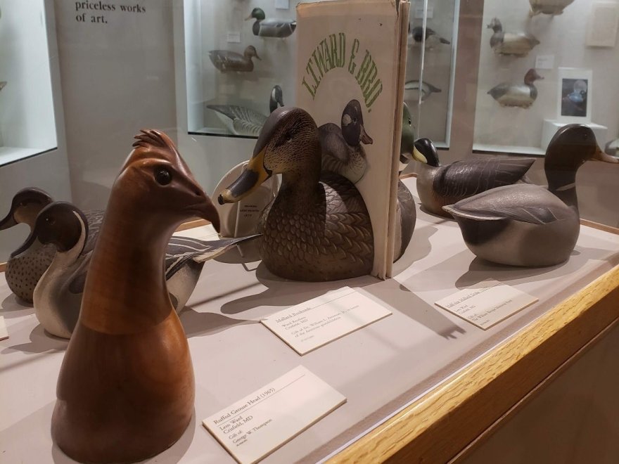 The Ward Museum of Wildfowl Art