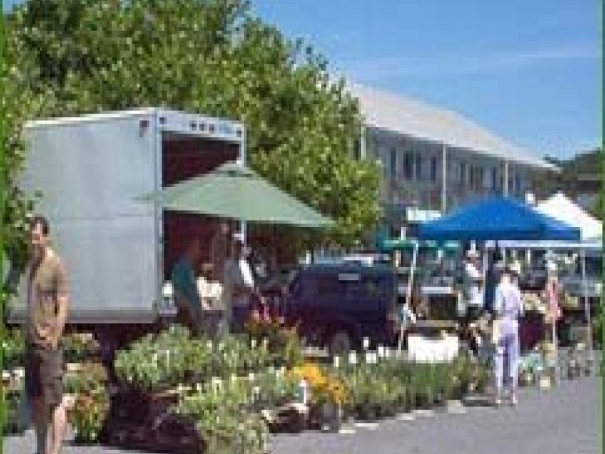 Shore Fresh Farmer's Market
