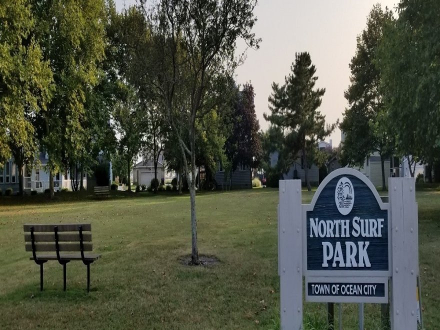 North Surf Park